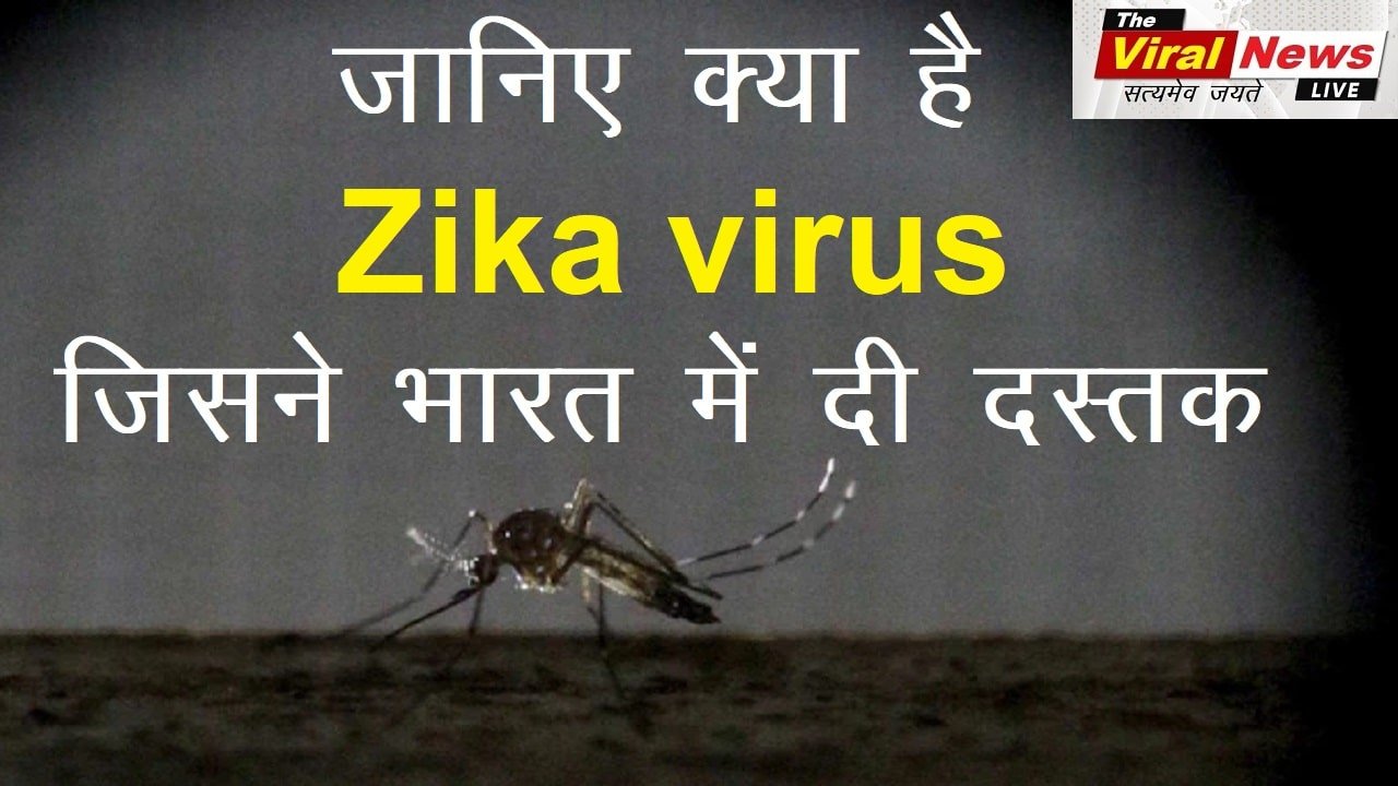 Zika virus in hindi