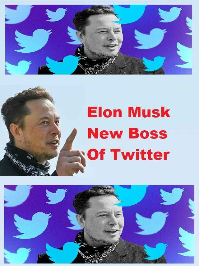 Elon Musk Bought Twitter - Elon Musk acquired Twitter