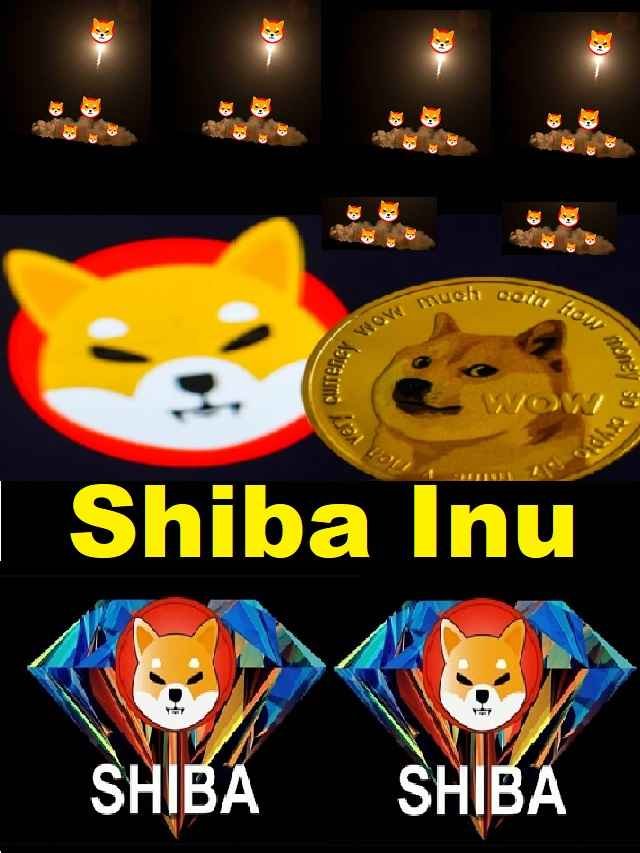 shiba inu price can be Zero