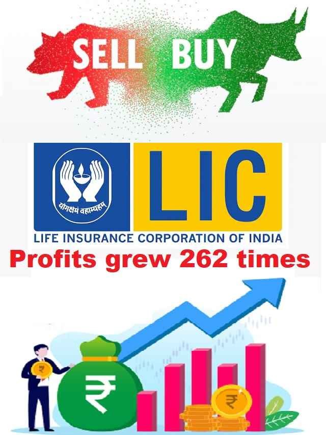 lic share price target today live