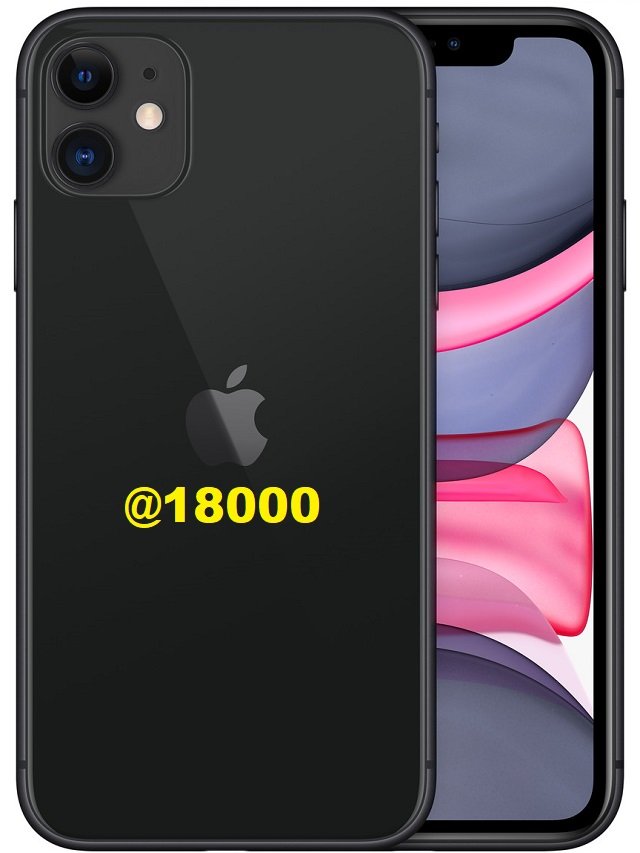 Bumper Offer! Buy 44000 IPhone 11 In Just 18000 - The Viral News Live