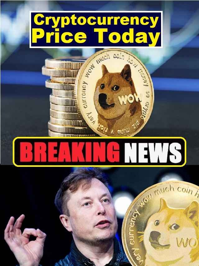 Dogcoin buying price today cryptocurrency rates