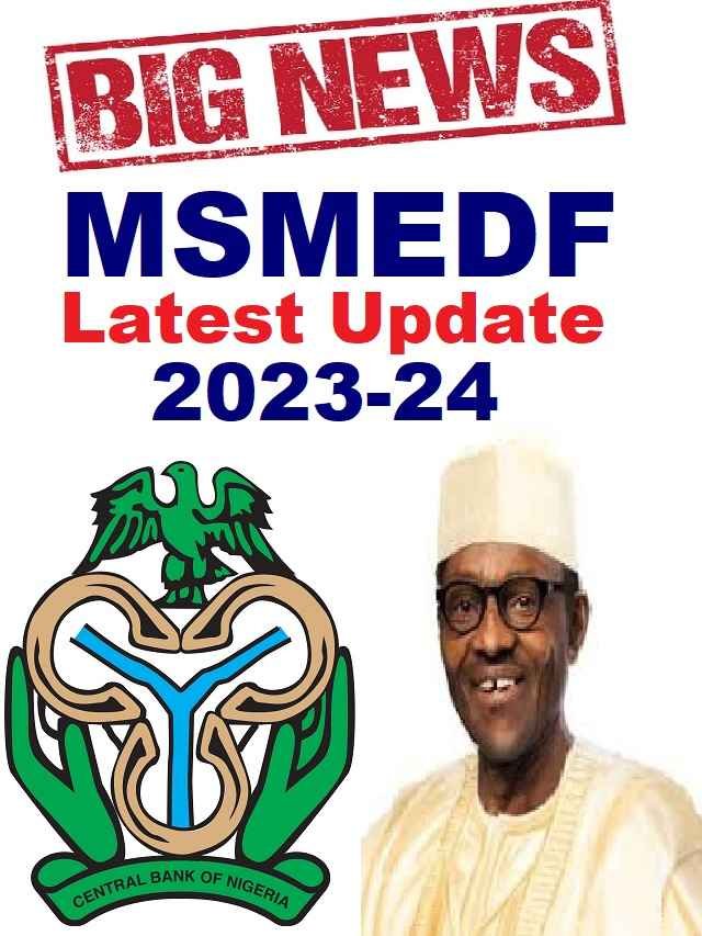 Micro Small Medium Enterprises Development Fund in Nigeria