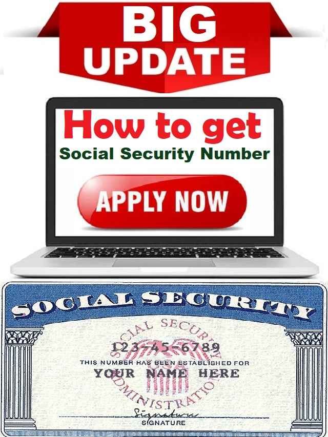 How to get a social security number